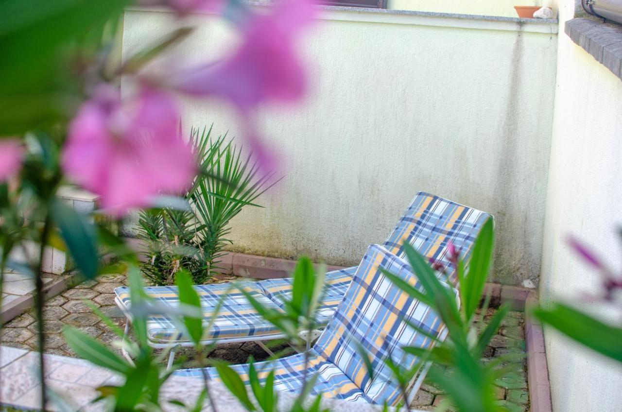 שילו Apartments Frank מראה חיצוני תמונה